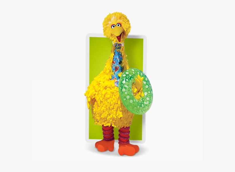 Bird Watching With Big Bird - Illustration, transparent png