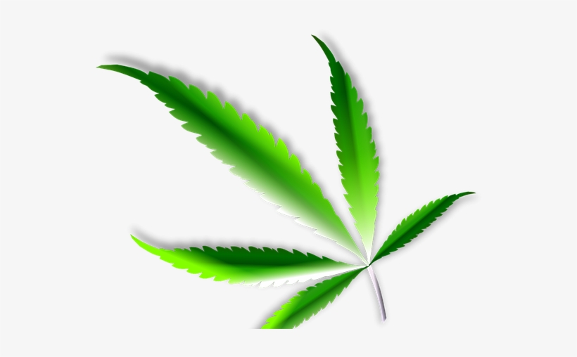Where To Buy Marijuana In Portland Oregon - Illustration, transparent png