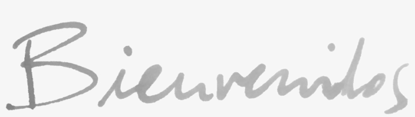 Bienvenidos - Calligraphy, transparent png