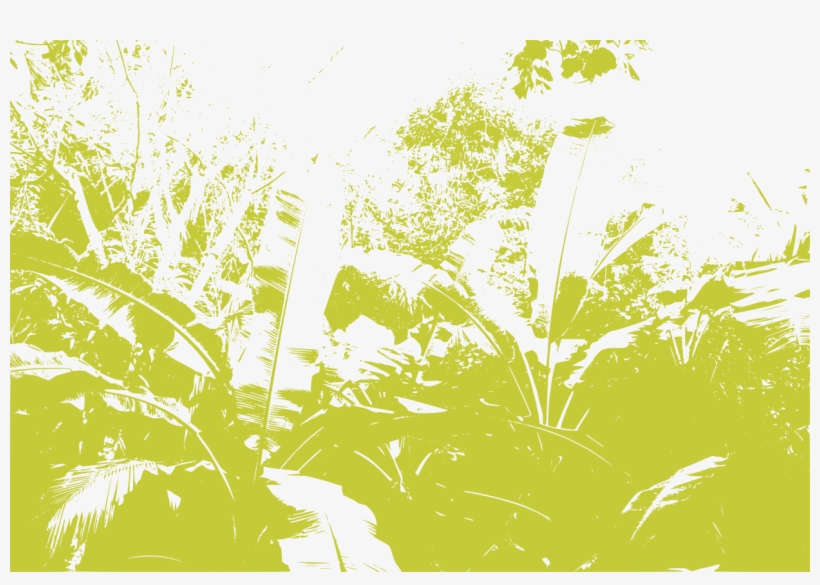 The The Foliage Changes To A Small, One Mile Wide Plain - Illustration, transparent png