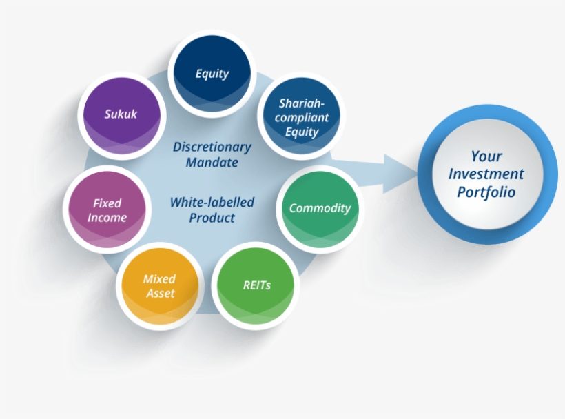 Portfolio Management Diagram 822x550 PNG Download PNGkit