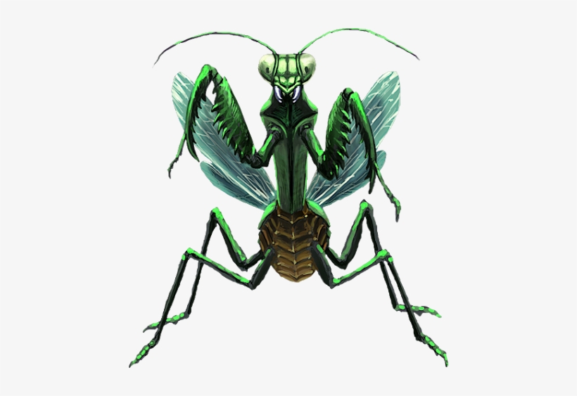 Doom Mantis - Mantis Gothic, transparent png