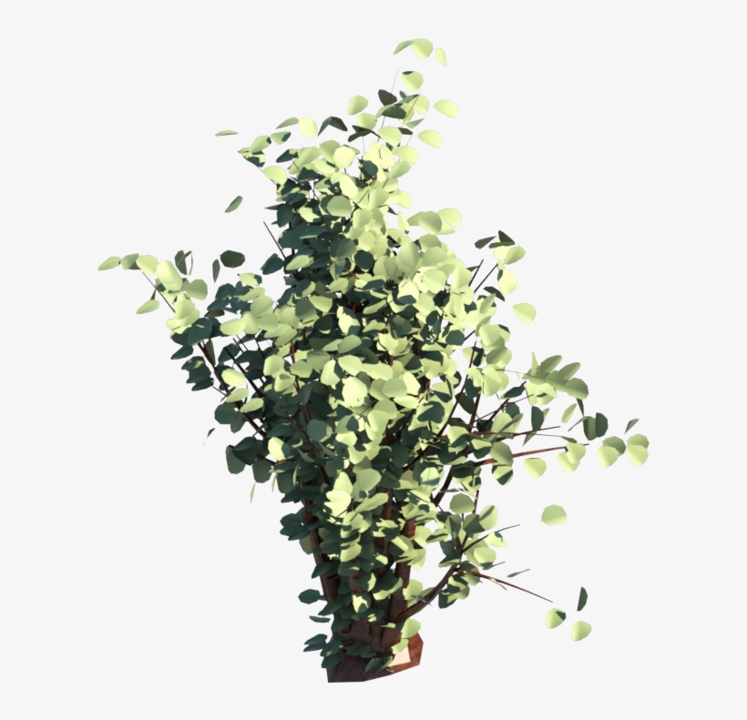 Anterior Siguiente - Shrub, transparent png
