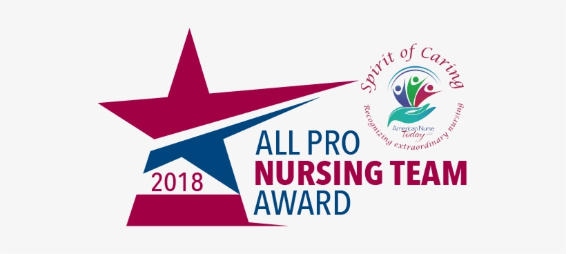 All Pro Nursing Team Award Application - Team Nursing, transparent png