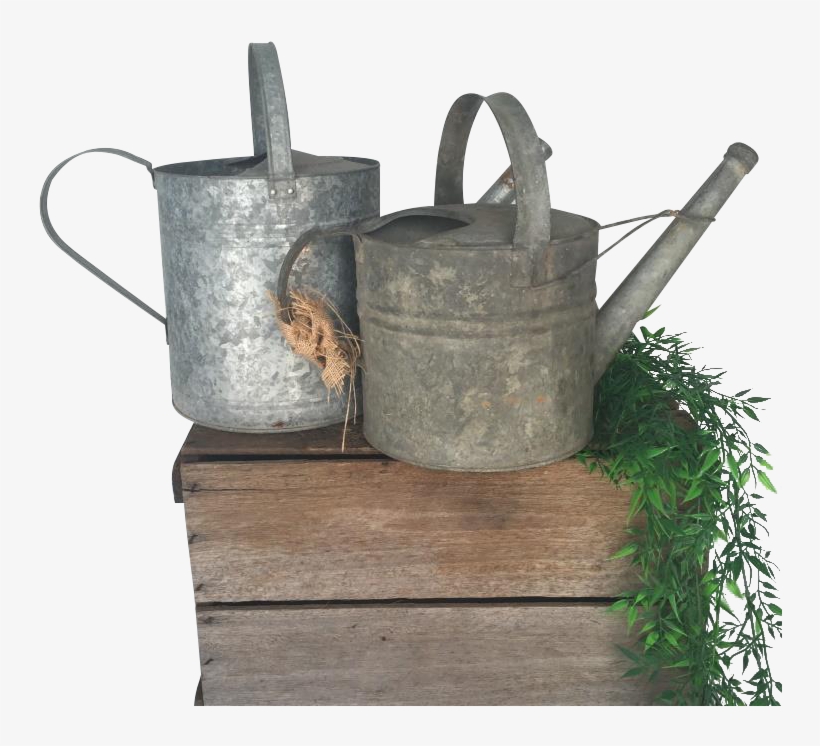 Watering Can Cluster, transparent png