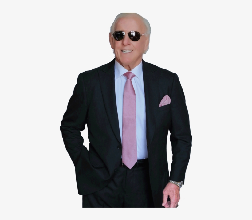 Black Herringbone Ric Flair Collection Custom Suit - Ric Flair In Suit, transparent png