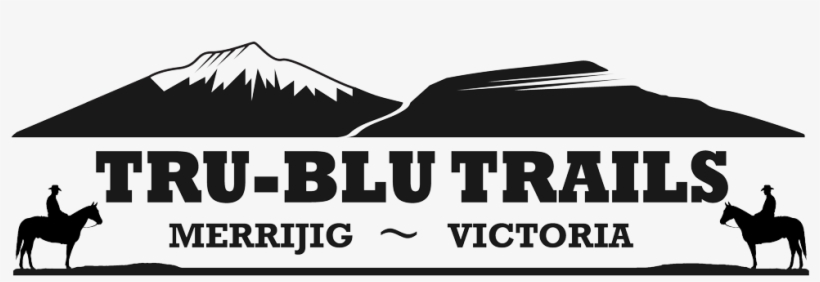 Tru-blu Trails - Cnn Fake Polls News President Race Trump Clinton 2016, transparent png