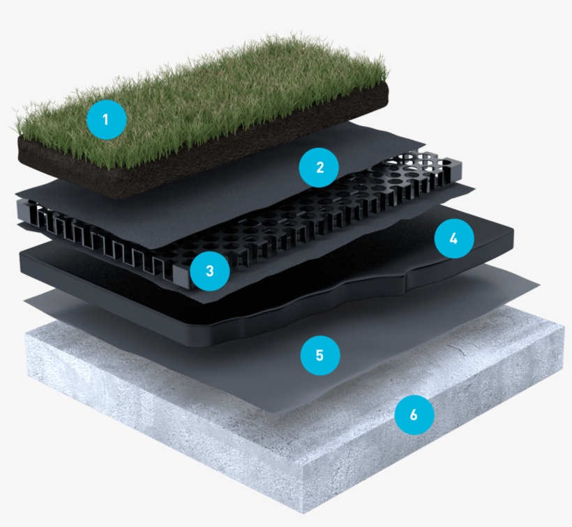 Green Roof System - Grass Roof Systems, transparent png