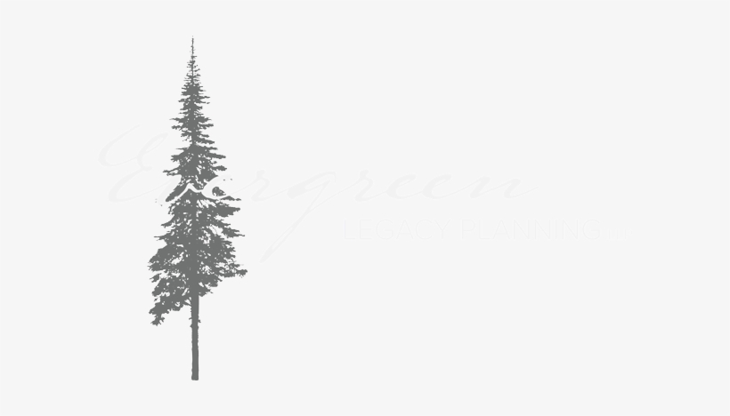Vector Graphics, transparent png