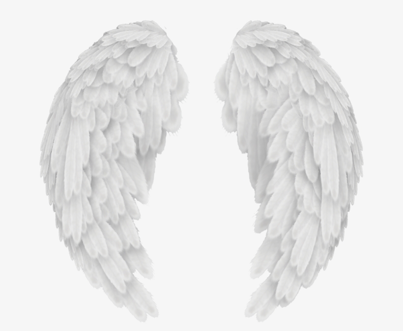 Angels In America Wings - Angel Wings Png Transparent, transparent png