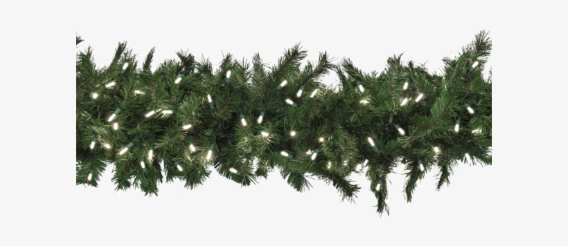 9′ Taiga Evergreen® Garland With 150 Led Lights - Shortleaf Black Spruce, transparent png