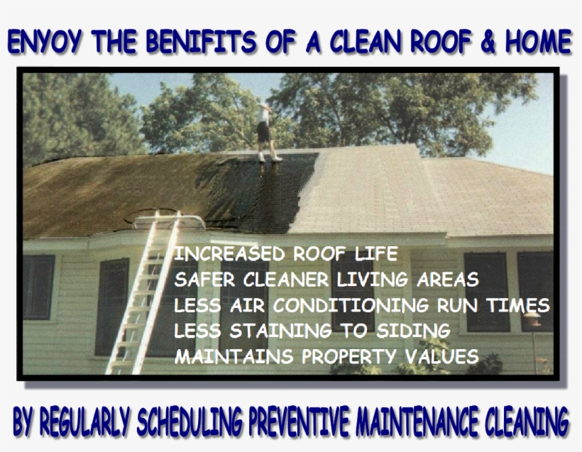 So Now That I've Cleared The Air And Educated You About - Roof, transparent png