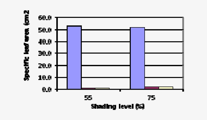 Specific Leaf Area Of Pule Pandak At Various Levels - Number, transparent png
