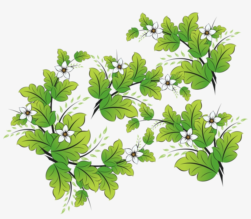 Watercolor Vector Herb - Vector Graphics, transparent png
