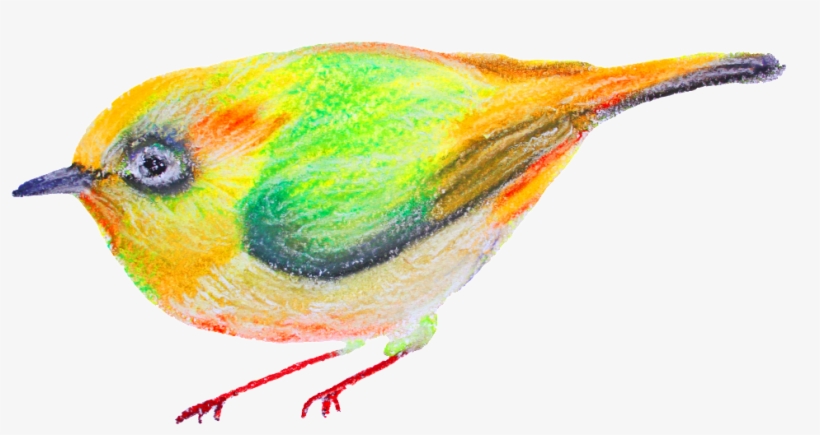 Watercolor Cartoon Birds Transparent Ornamental - Watercolor Painting, transparent png