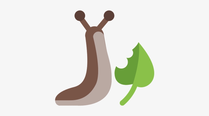Snail, transparent png