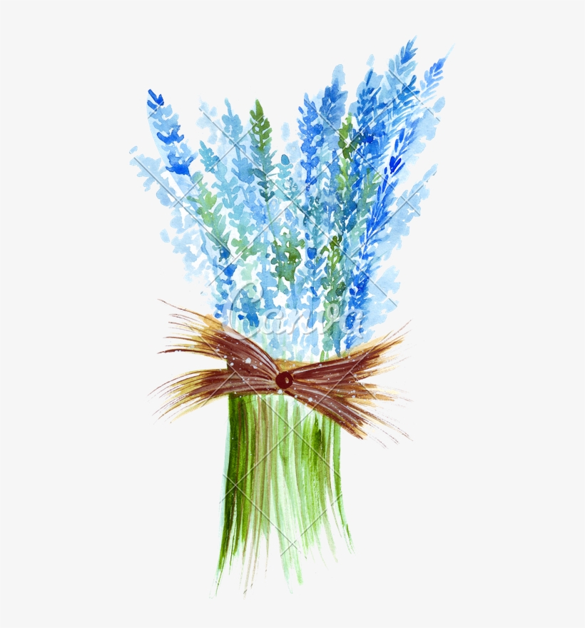 Hand Drawing Of A Watercolor Of A Bouquet Of Blue Lavender - Watercolor Painting, transparent png