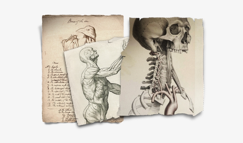 Frankenstein Is A Whole New Way Of Experiencing Mary - Frankenstein Mary Shelley Drawing, transparent png