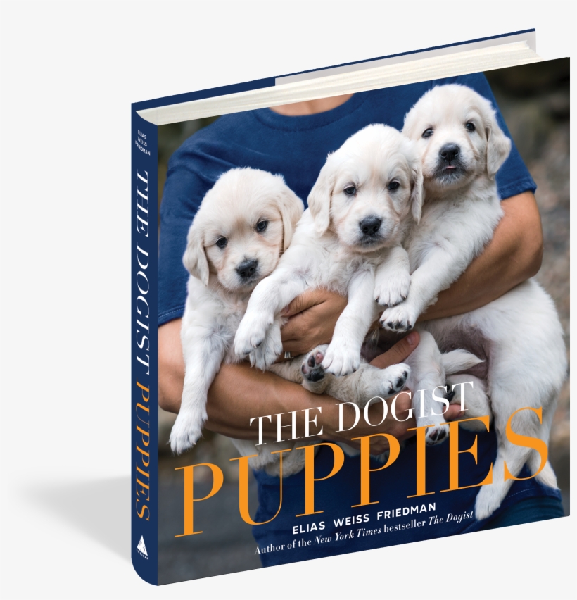 The Dogist Puppies - Dogist Puppies, The (hardcover), transparent png