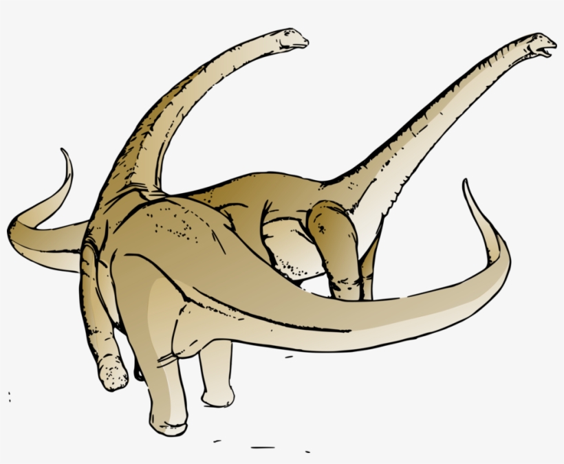 All Photo Png Clipart - Alamosaurus Clipart, transparent png