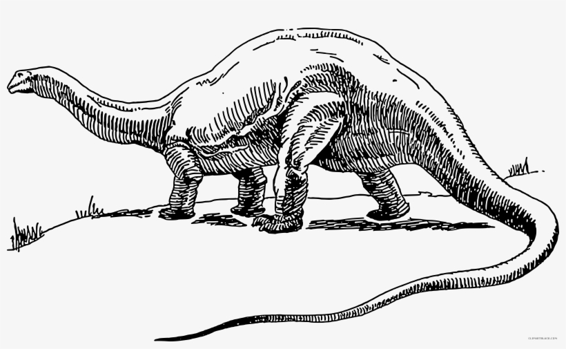 Clipartblack Com Animal Free Black White Images - Clipart Dinosaur Black And White, transparent png