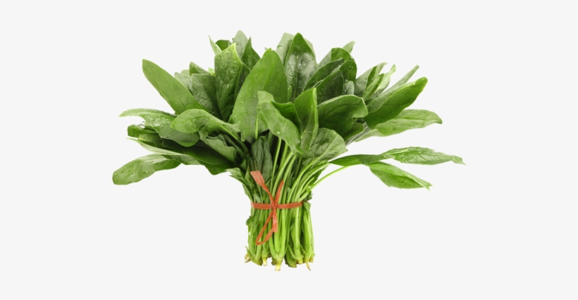 Product Overview / Spinach - Spinach Oil (spinacia Oleracea) 100% Natural Pure Carrier, transparent png