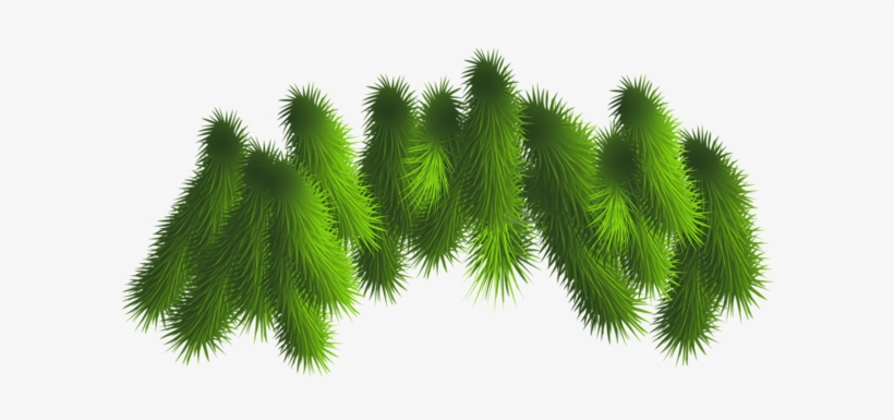 Transparent Pine Branches Png Clipart - Christmas Tree Branch Clip Art, transparent png