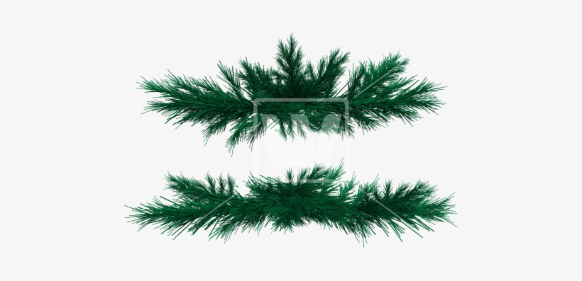 Fir Branches Welcomia Imagery - Fir Tree Branches Png, transparent png