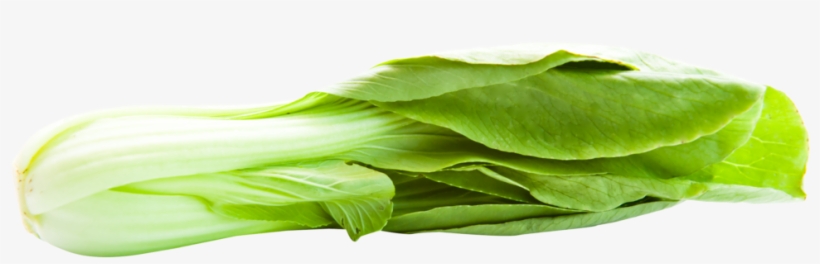 Bok Choy Transparent Background - Bokchoy Png, transparent png