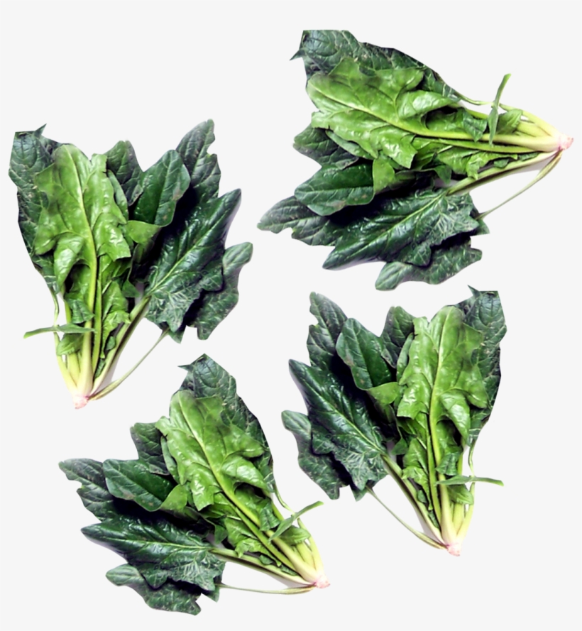 Green Spinach Png Image - Spinach, transparent png