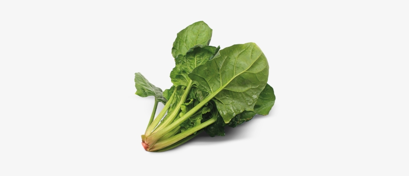 Spinach Transparent Background, transparent png