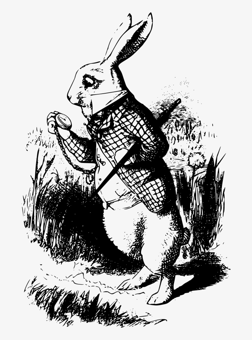 Download Png - White Rabbit Alice In Wonderland, transparent png