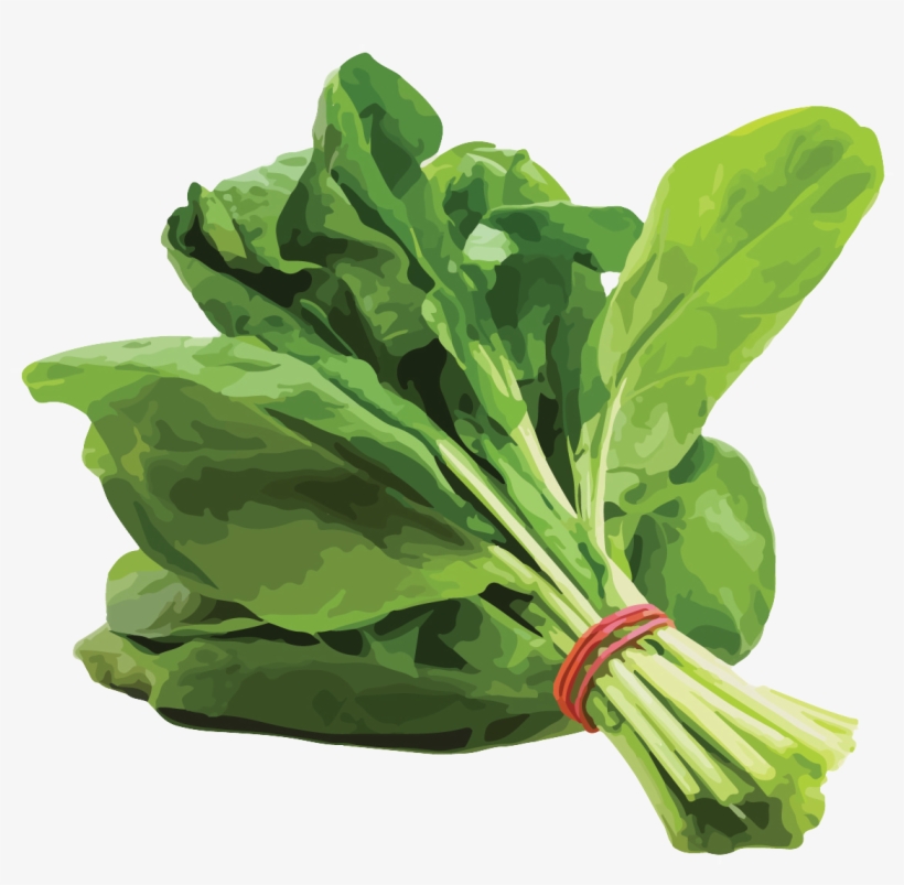 Spinach - Palak Keerai, transparent png