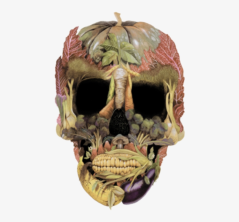 Illustration Tags - Skull, transparent png