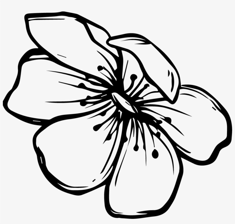Sticker By Lucia Gloria Zivago Png - Doodle Flower Black And White Png, transparent png