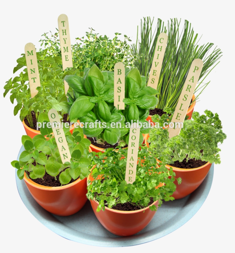 Clipart Resolution 1000*921, transparent png