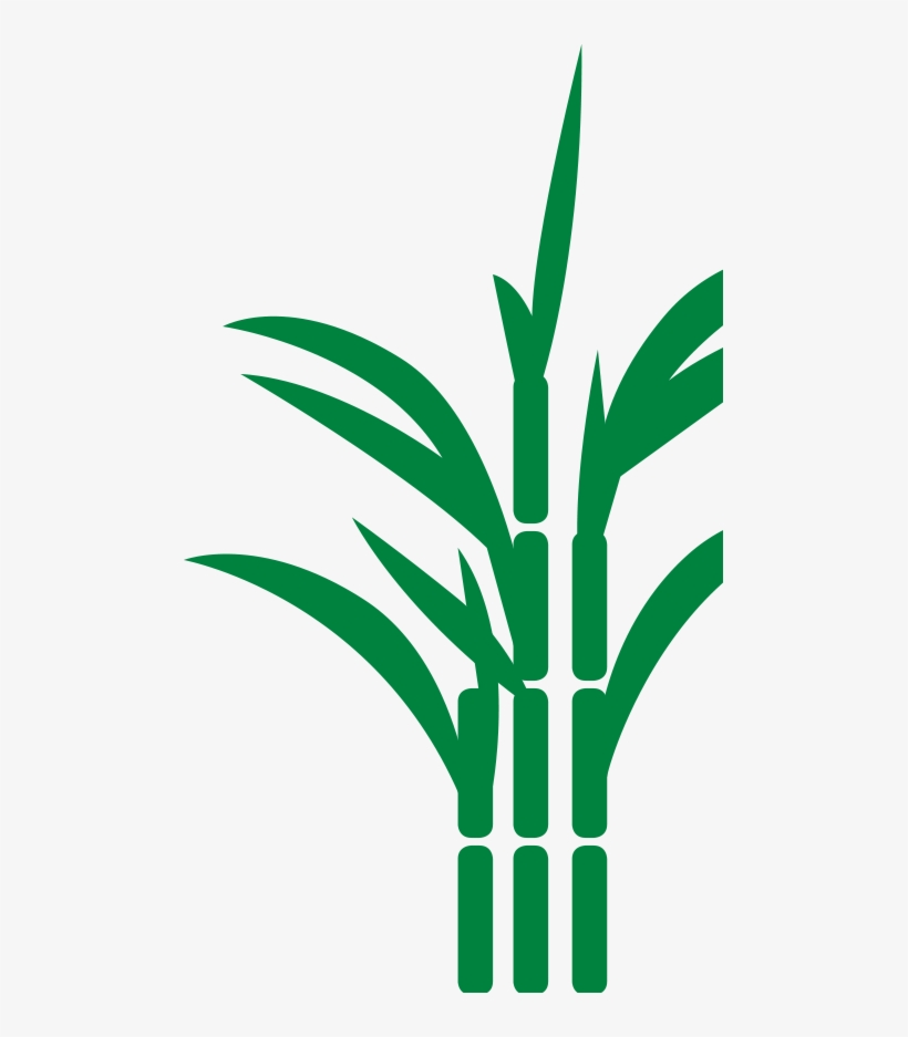 Sugar Cane Icon Png - 487x857 PNG Download - PNGkit