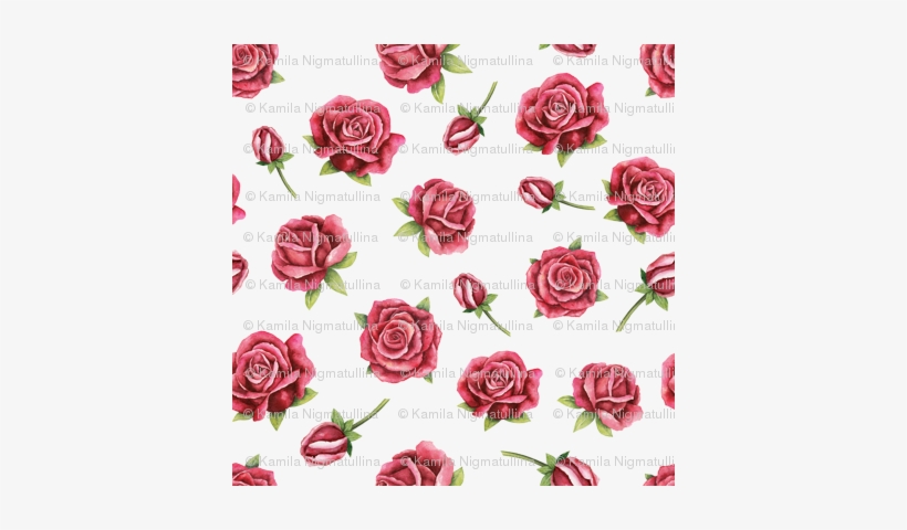 Watercolor Roses On White Small - Watercolor Painting, transparent png