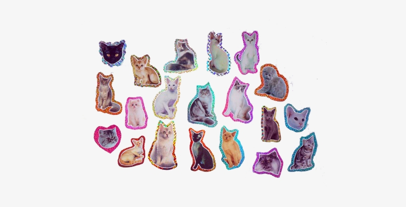 𝔭𝔫𝔤 On We Heart It - Mug Personnalisé Chat - Ref: 203, transparent png