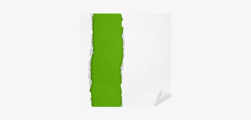 Tree, transparent png