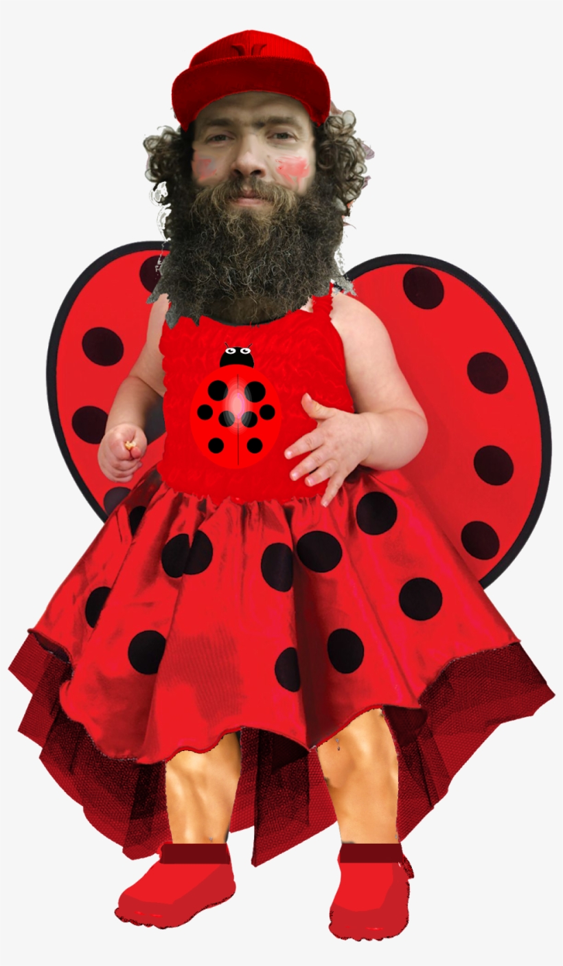 Ladybird Nazi - Nazism, transparent png