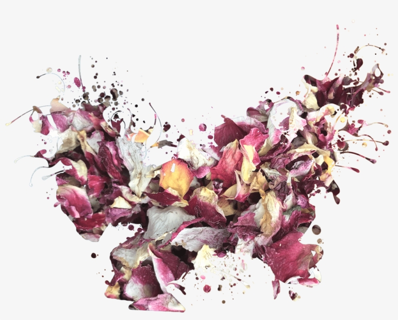 Loose - Petal, transparent png