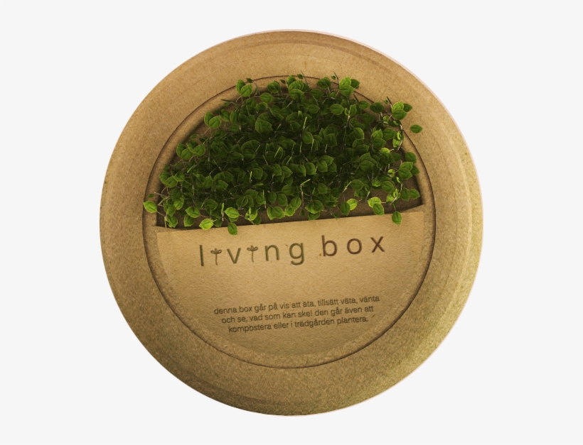 Living Box Is A Box Made From Biodegradable Material, - Sayama Tea, transparent png