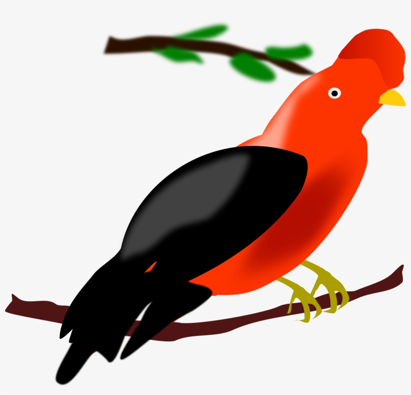 This Free Icons Png Design Of Andean Cock Of The Rock, transparent png