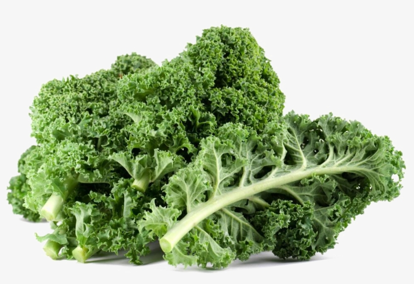 Kale Png Free Download - Kale Leaves In India, transparent png