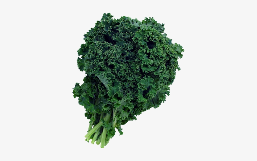 Green Kale Two Dozen - Does Kale Look Like, transparent png