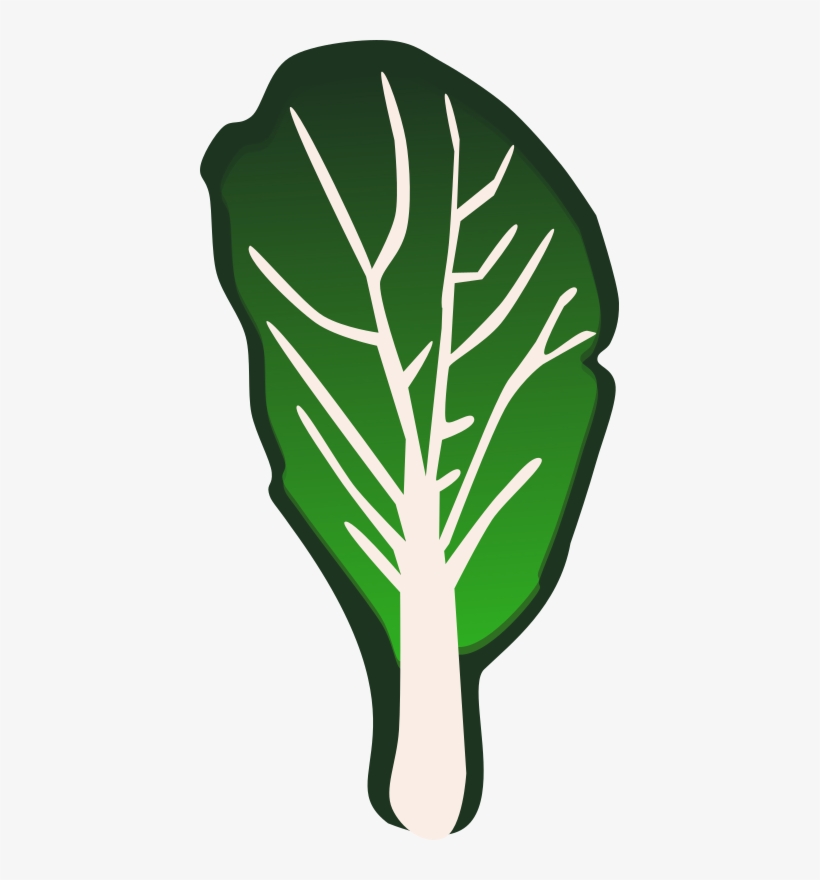 Leaf Vegetable Kale Cabbage Spinach - Vegetable Clip Art, transparent png