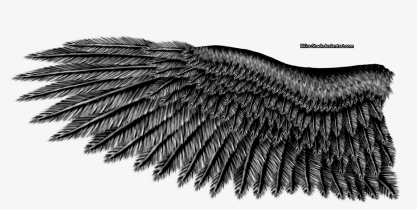 Steel Eagle By K Ku Stock On - Eagle Wing Black And White, transparent png