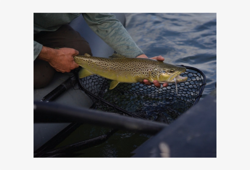 Flycraft Fishing Net - Fishing, transparent png