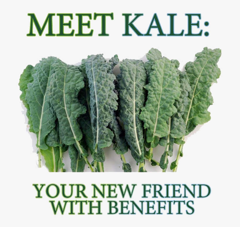 Meet-kale - 8000 Seeds Lacinto Kale, transparent png